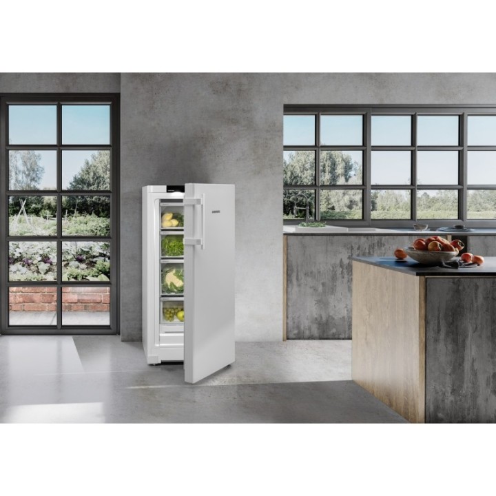 Réfrigérateur entièrement BioFresh Liebherr RBa30 425i Prime BioFresh vue 9